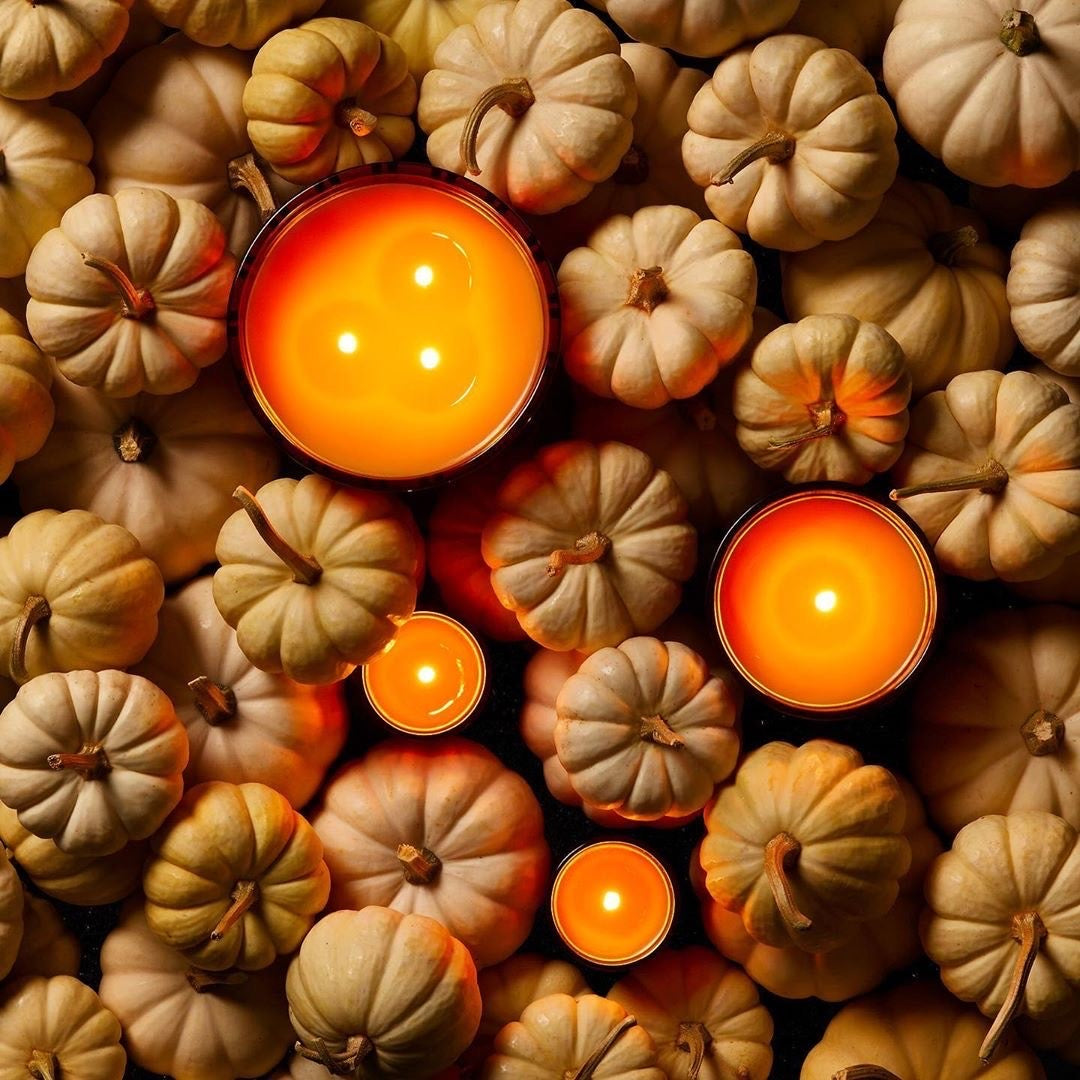 NEST New York 3-Wick Candle - Pumpkin Chai