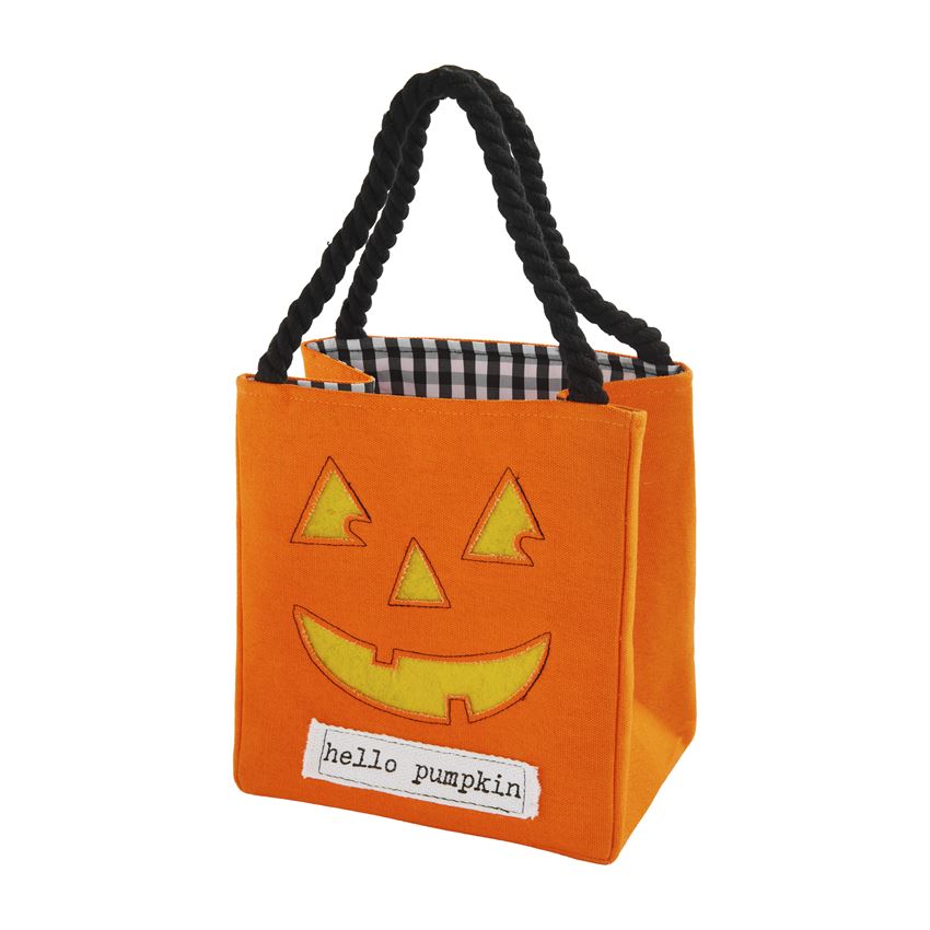 Light Up Halloween Candy Bag