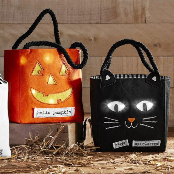 Light Up Halloween Candy Bag