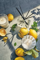 NEST New York Reed Diffuser - Almalfi Lemon & Mint
