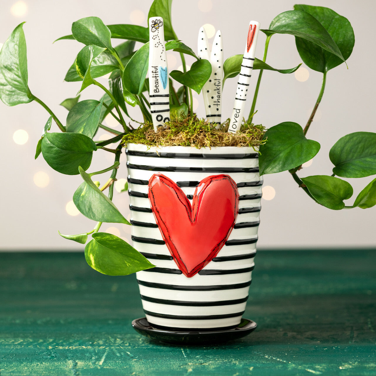 Striped Ceramic Pot w/Saucer