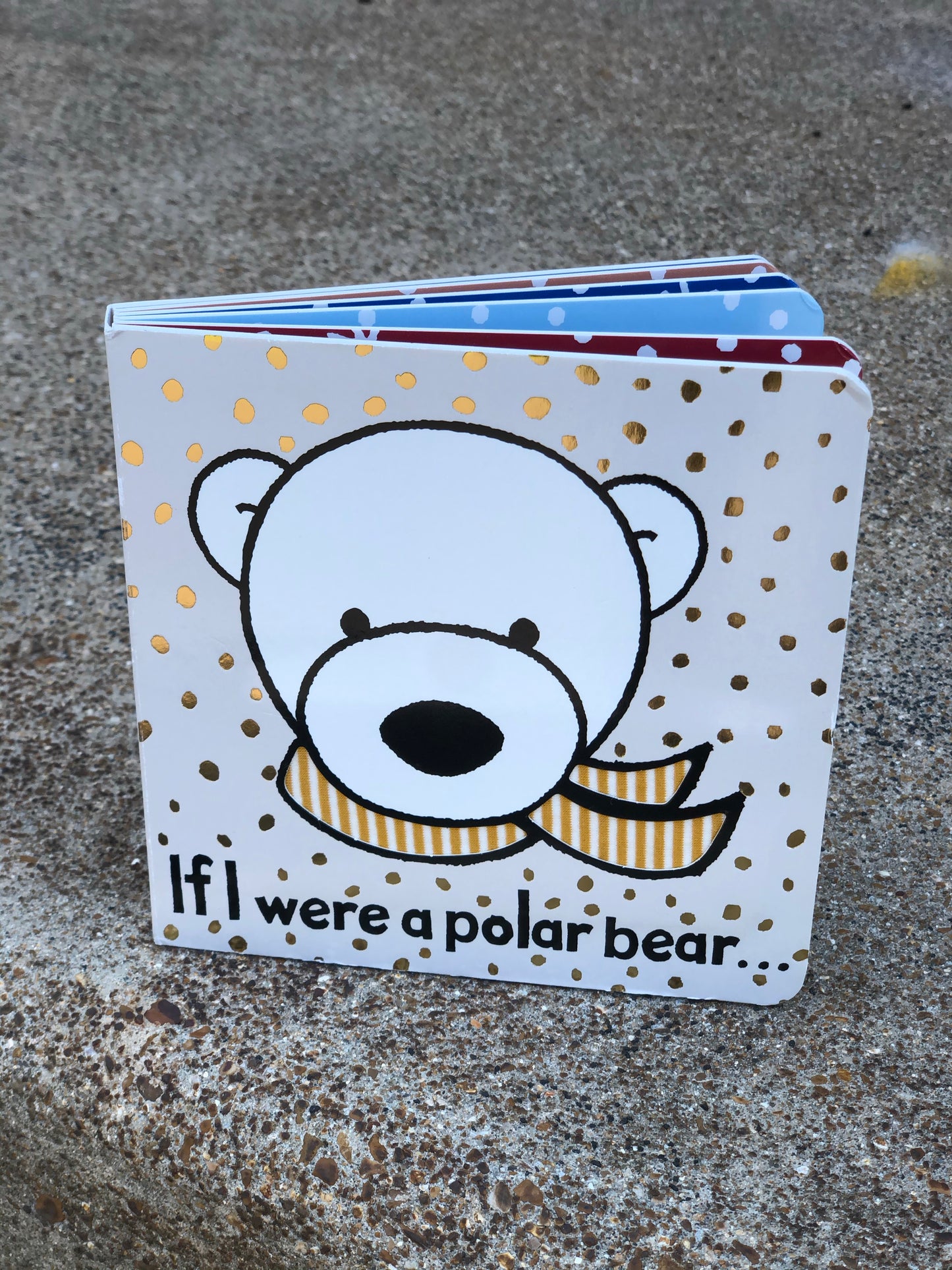 "If I Were a Polar Bear" Children's Book